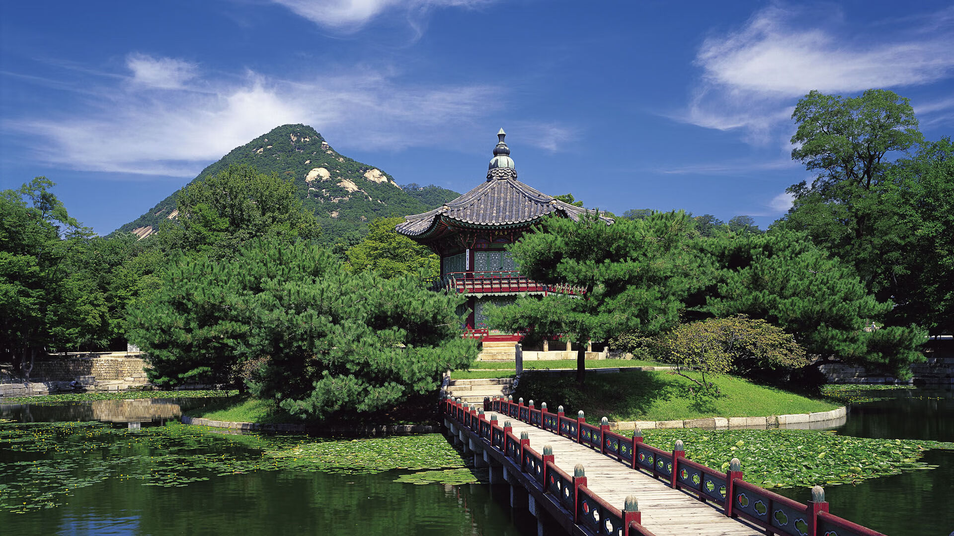 世界举重联赛:训练监测与恢复策略并行提高成绩重复性,2021举重世界锦标赛